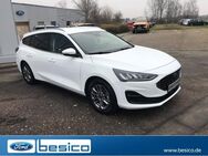 Ford Focus, Titanium X Winter Paket, Jahr 2023 - Glauchau