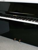 Klavier Schimmel 114 schwarz poliert, Nr. 194183, 5 Jahre Garantie in 21272