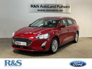 Ford Focus, Titanium, Jahr 2021 - Pulheim