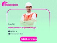 Global Head (m/w/d) of Project Management - Emmerich (Rhein)
