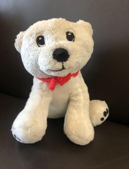 Teddy-Eisbär - Bremen