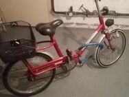 Klapprad Viktoria (20 Zoll) Sachs Duomatic 2-Gang - Leverkusen