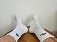 Socken, Socks, Adidas, underwear, Weiß - Trier