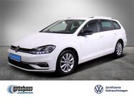 VW Golf Variant, 2.0 TDI Golf VII IQ-Drive, Jahr 2019 - Brandis