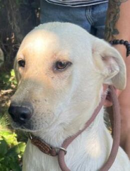 MAYLO wuenscht sich ein normales Leben - Gefrees