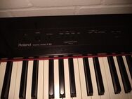 Roland F20 digitales Stage Piano - Neuss