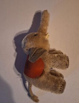 Steif Elefant - Florstadt