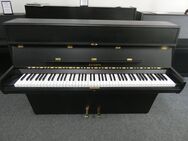Euterpe Klavier von Klavierbaumeisterin aus Aachen - Aachen