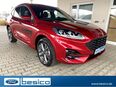 Ford Kuga, ST-Line X iACC, Jahr 2024 in 08371