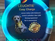 Leuchtie Easy Charge 42,5 - Billerbeck