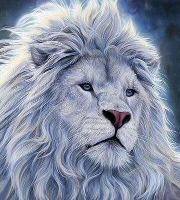 Profil