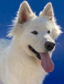 Gudrun, oder die, die keine Esel mag - Kierspe