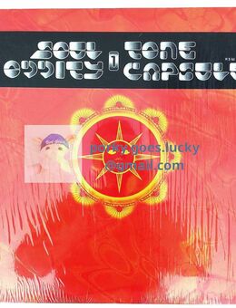 Soul Oddity – Tone Capsule 1 1996 12" Vinyl Breaks, Acid, Electro - München Bogenhausen