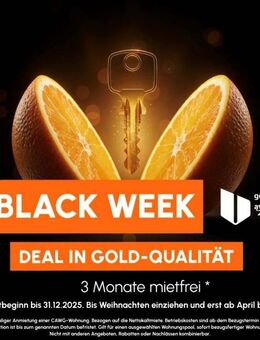 Aufzug / ebenerdige Dusche / Balkon - Chemnitz