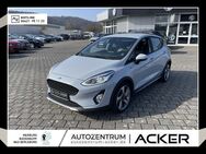 Ford Fiesta, 1.0 EcoBoost Active Plus WinterP, Jahr 2019 - Bad Berleburg