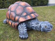 Riesenschidkröte XXL 107 cm lang Dekofigur für Haus und Garten - Hergisdorf
