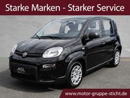 Fiat Panda, Hybrid # # # #, Jahr 2024 - Hof