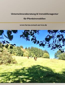Preisreduzierung - Modernes Mehrfamilienhaus mit Pferdehaltung in Traumlage - Adelmannsfelden
