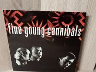 LP-Schallplatte-fine young cannibals. - Nörvenich