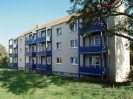 Altersgerechte Wohnung für Rentner mit großem Balkon - Dresden