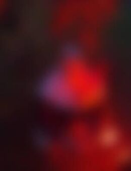 Sti*** - Köthen (Anhalt)