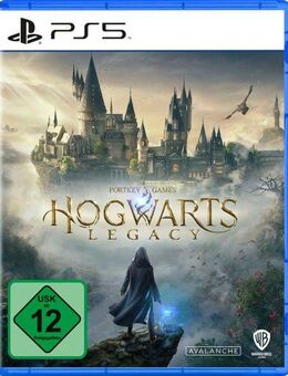 Hogwarts Legacy PlayStation 5