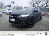 Dacia Sandero, Stepway Expression TCe 90, Jahr 2022 - Herrenberg