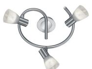TRIO Leuchten LED Deckenstrahler LEVISTO, LED wechselbar, LED Deckenleuchte, LED Deckenlampe