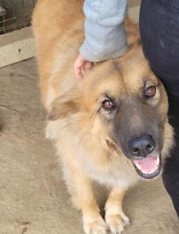 BROUDI ❤ EILIG! - Langenhagen