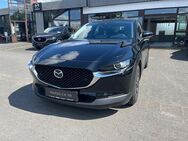 Mazda CX-30 SKYACTIV-G Selection - Münzenberg