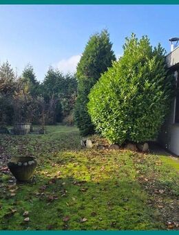 Ruhig gelegener Flachdachbungalow - Sulingen