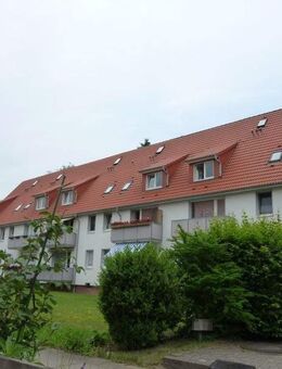 Gemütliche Dachgeschosswohnung zur Miete in Geesthacht- Wentzel-Dr. - Geesthacht