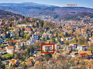 "Das Schloß im Blick" - Penthouse im Wernigeröder Stadtgarten - Wernigerode