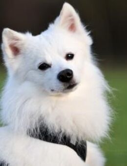 Felix wünscht sich empathische Familie - Untergruppenbach