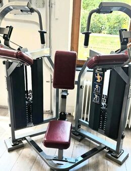 Hammer Strength MTS Trizepsmaschine - seltenes Profigerät Life Fitness Hammerstrength - Ergoldsbach