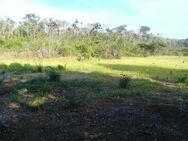 Brasilien - 25 Ha Tiefpreis-Grundstück in der Region Manaus, AM - Waldshut-Tiengen