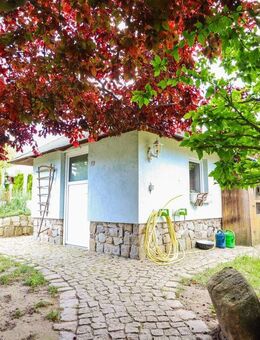 Wohnen, wo das Leben beginnt - Biederitz