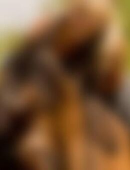 Pfe*** - Sangerhausen