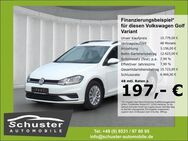 VW Golf Variant VII 1.6TDI*Navi Tempom SHZ PDCv+h - Ruhstorf (Rott)