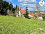 Natur pur am Waldrand – Ökologisches Holzhaus in einzigartiger Lage bei Bad Grönenbach - Bad Grönenbach