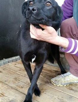 Wunderbare Valerie - Köln