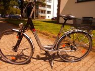 Sehr gepflegtes 28 Zoll Alu Damen Fahrrad zu Verkaufen - Neumünster