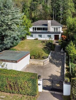 Eine einmalige Gelegenheit! Vielseitiges Einfamilienhaus in Bestlage - Stadtoldendorf