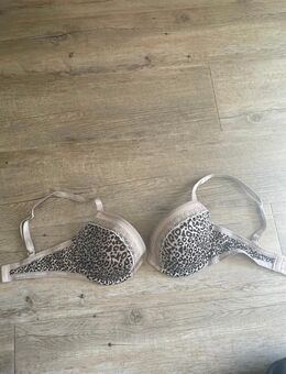 Calvin Klein Leo BH - Berlin