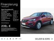 Opel Grandland X, 2.0 ||||4xShz, Jahr 2020 - Ebern