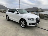 AUDI Q5 2.0 TDI 170 DPF S LINE QUATTRO S TRONIC 7 - München Trudering-Riem