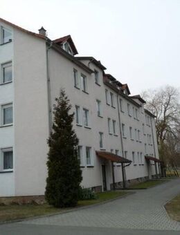 Schöne 3 Zimmerwohnung im ländlichen Raum - Gemeinde Reinsberg OT Hirschfeld - Reinsberg