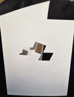 1000 Präsentations- Bewerbungs- Mappen Karton Sonderanfertigung - Berlin Lichtenberg