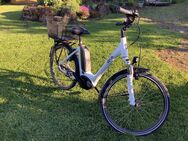 Winora 26“ E-Bike Tiefeinsteiger mit Rücktritt - Küllstedt