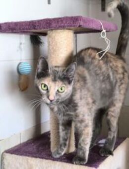 Schönheit Barbara sucht DICH! - Walluf